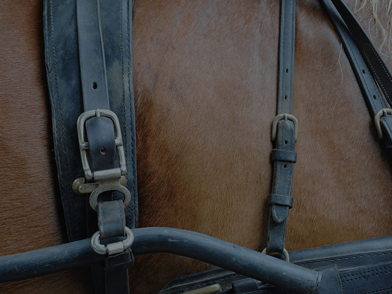 Réseau Faire à Cheval