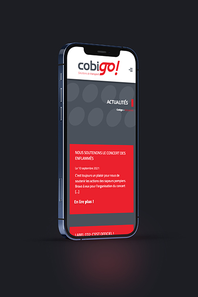Site internet vitrine - Cobigo