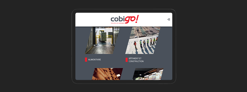 Site internet vitrine - Cobigo